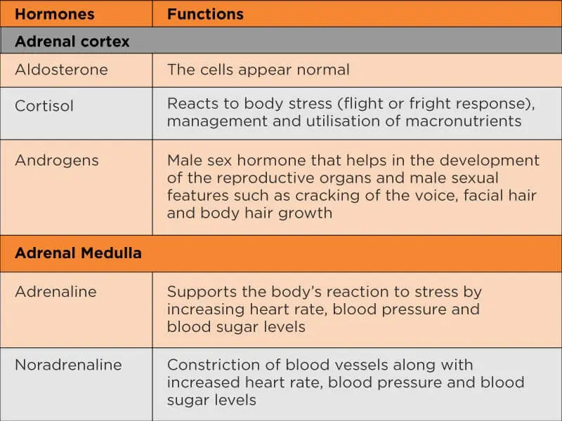 Diseases of the adrenal glands