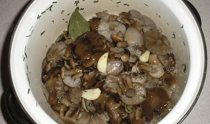 Dishes from fresh mushrooms: cooking recipes with photos