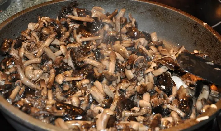 Dishes from fresh mushrooms: cooking recipes with photos