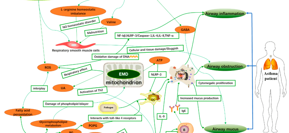 Disturbances in lipid metabolism are associated with childhood asthma