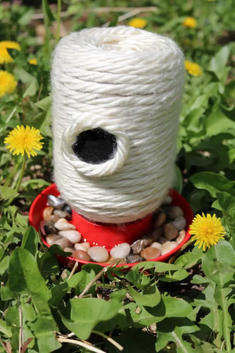 DIY bee feeder