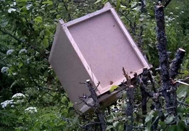 DIY bee traps