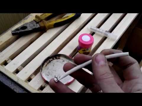 DIY bee traps