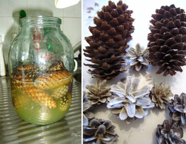 DIY crafts from cones for the New Year: pine, spruce, photos, ideas