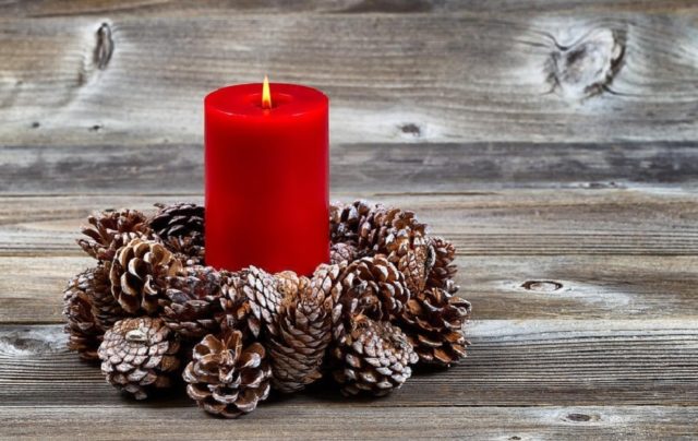 DIY crafts from cones for the New Year: pine, spruce, photos, ideas