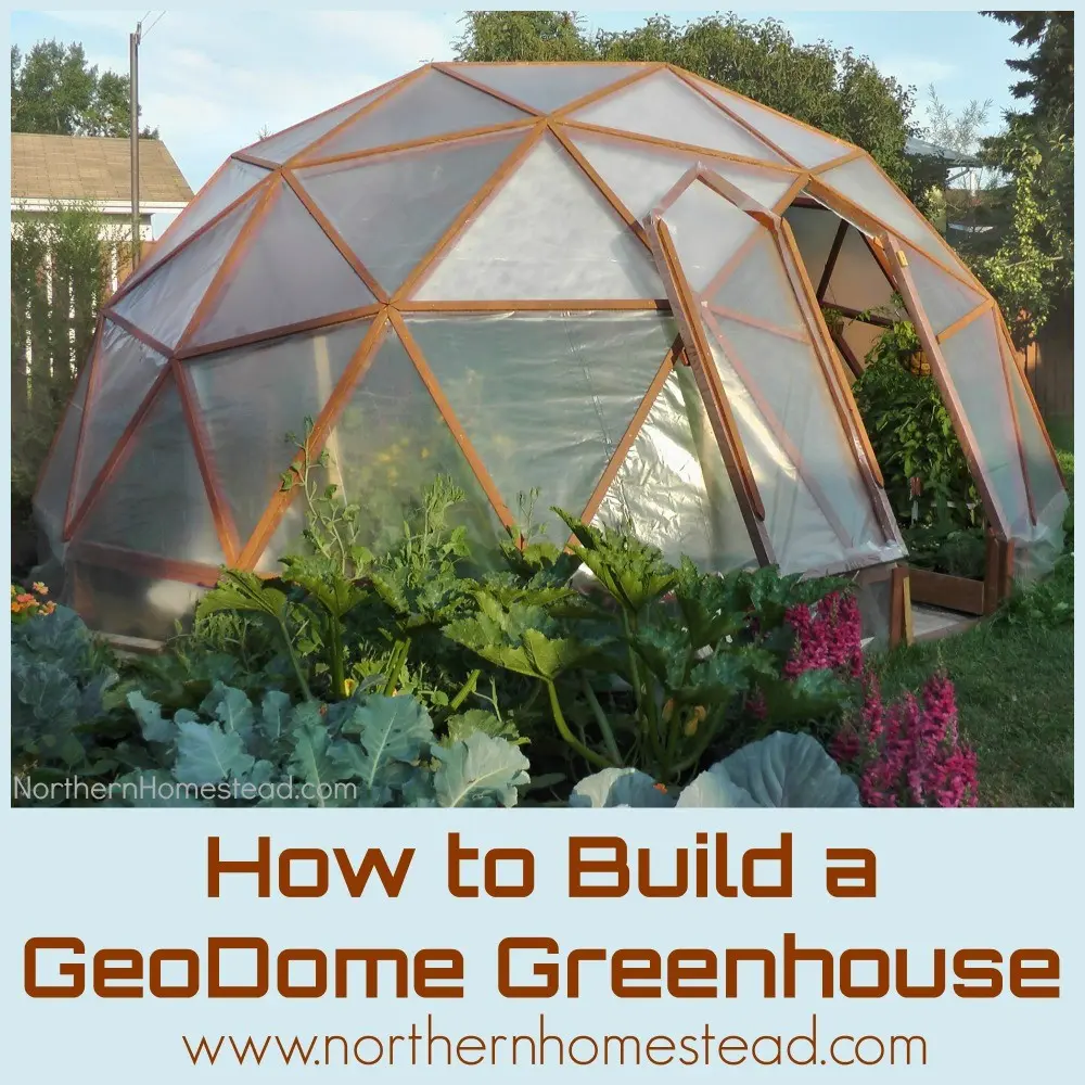 DIY dome greenhouse: step by step instructions