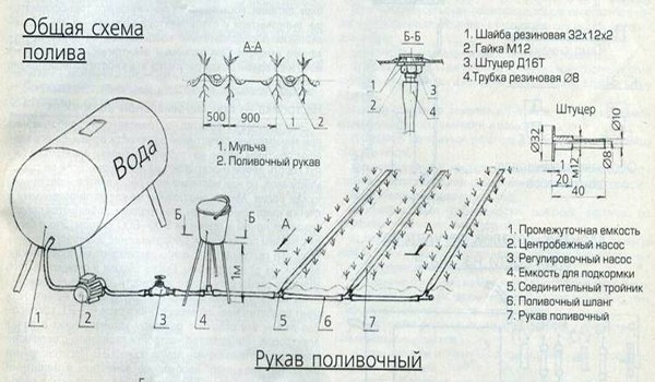 DIY drip irrigation system: instructions