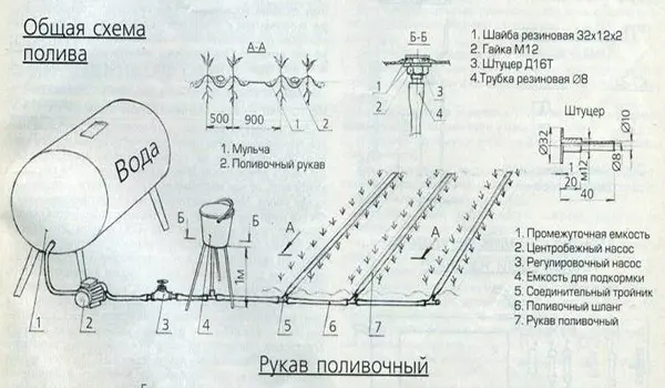 DIY drip irrigation system: instructions