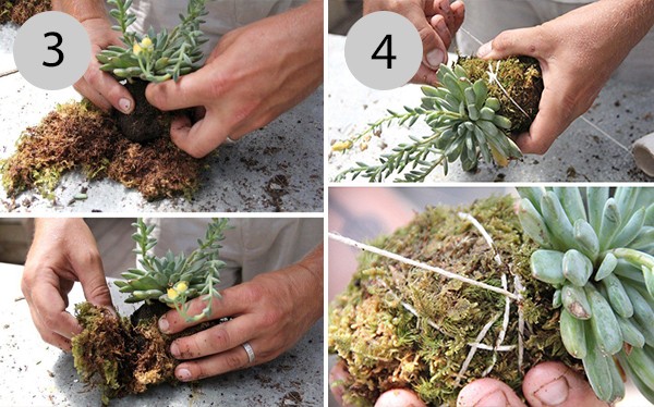 DIY Kokedama: a master class on creating