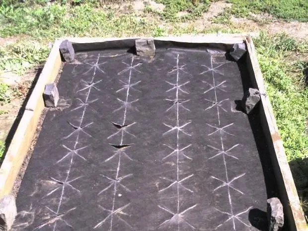 DIY lazy beds 