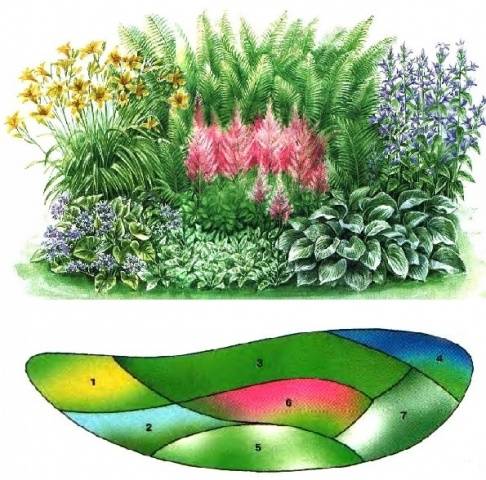 DIY perennial flower beds for beginners 