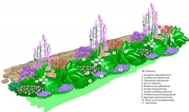 DIY perennial flower beds for beginners 