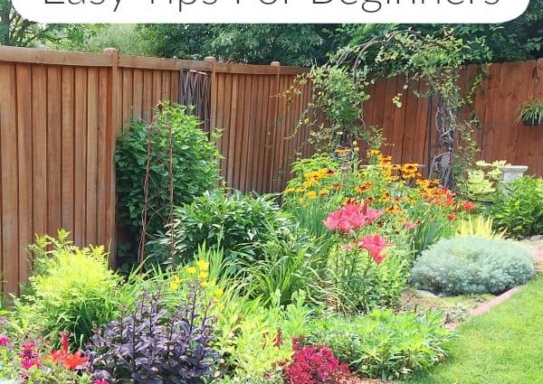 DIY perennial flower beds for beginners 