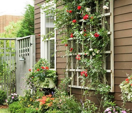 DIY trellis and arches for climbing roses