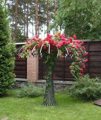 DIY trellis and arches for climbing roses