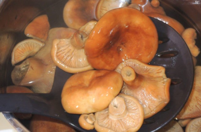 Do I need to soak mushrooms before salting and frying