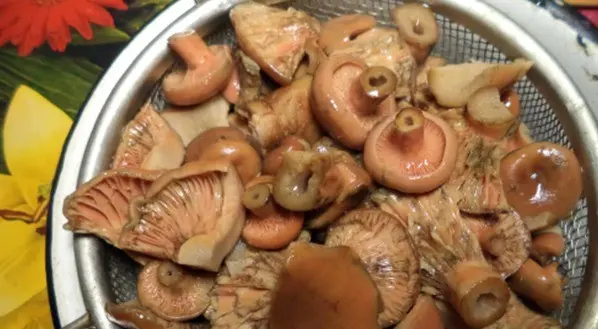 Do I need to soak mushrooms before salting and frying