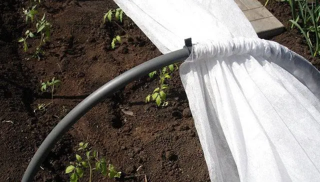 Do-it-yourself arcs for a greenhouse 