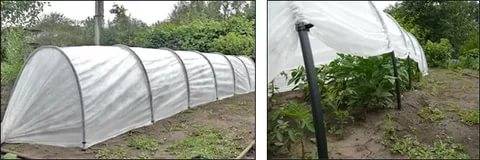 Do-it-yourself arcs for a greenhouse 