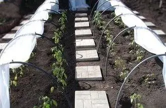 Do-it-yourself arcs for a greenhouse 