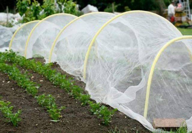 Do-it-yourself arcs for a greenhouse 