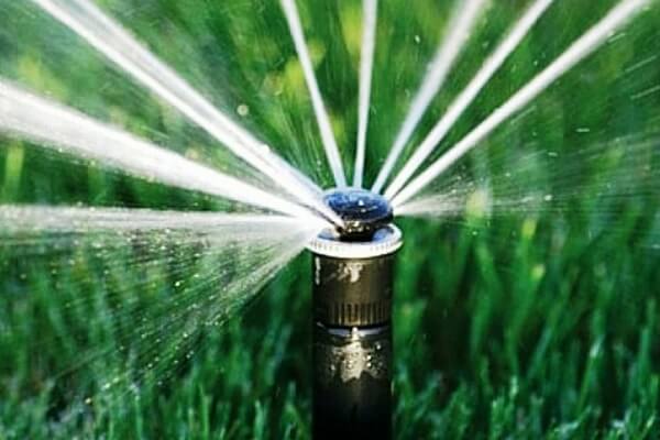 Do-it-yourself automatic lawn watering - without worries and hassles