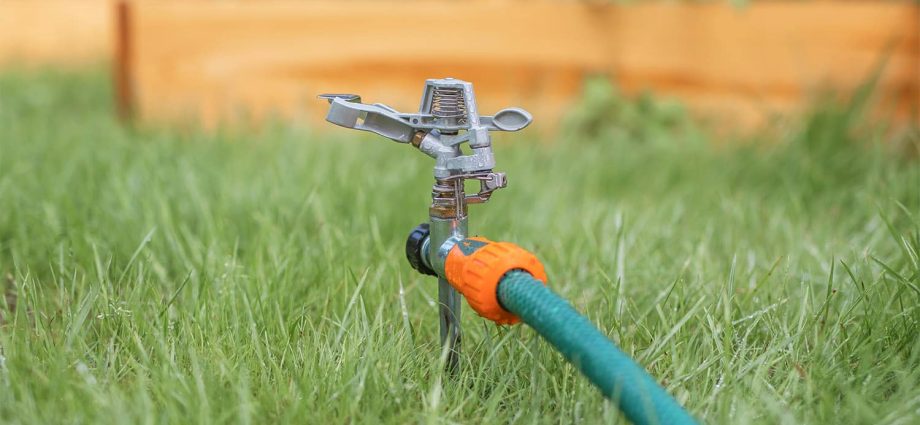 Do-it-yourself automatic lawn watering &#8211; without worries and hassles