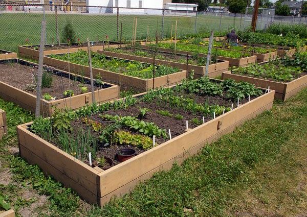 Do-it-yourself barn on the garden plot + photo