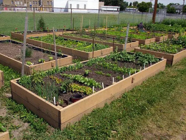 Do-it-yourself barn on the garden plot + photo