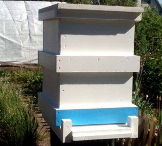 Do-it-yourself beehive from expanded polystyrene (polystyrene)