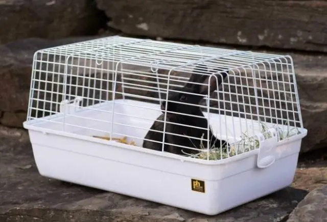 Do-it-yourself cage for a dwarf rabbit