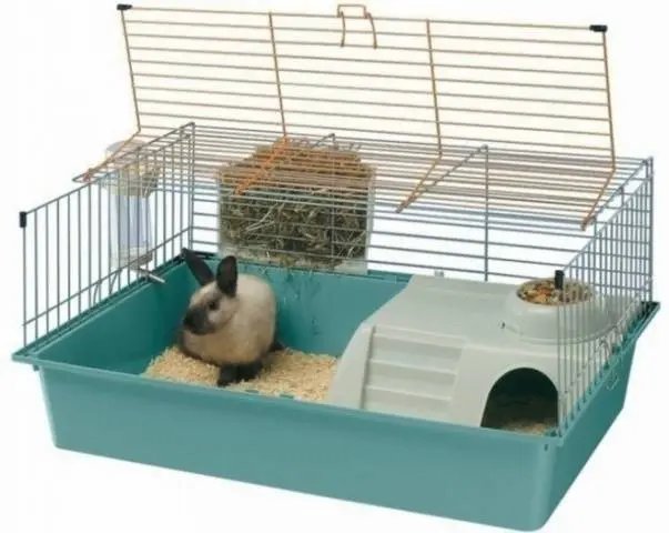 Do-it-yourself cage for a dwarf rabbit