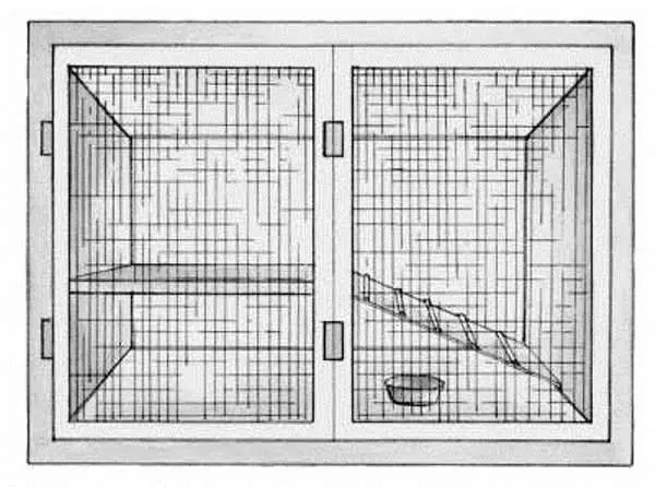 Do-it-yourself cage for a dwarf rabbit