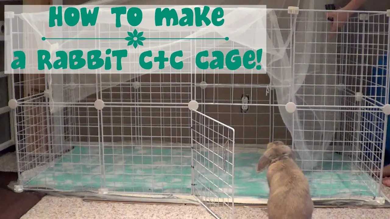 Do-it-yourself cage for a dwarf rabbit