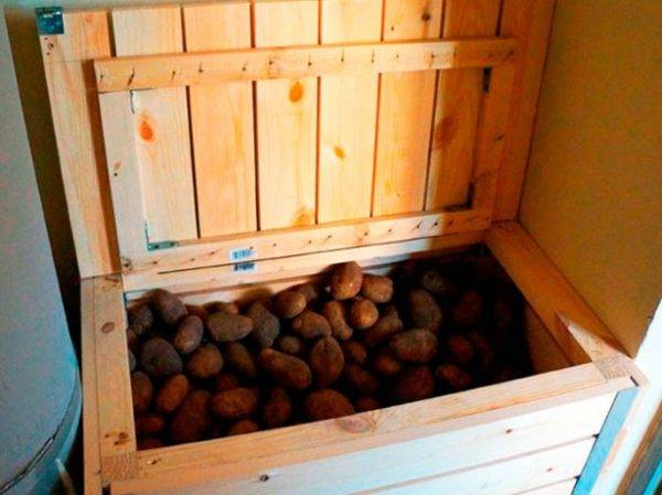 Do-it-yourself cellar on the balcony 