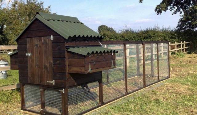 Do-it-yourself chicken coop for 10 chickens: drawings