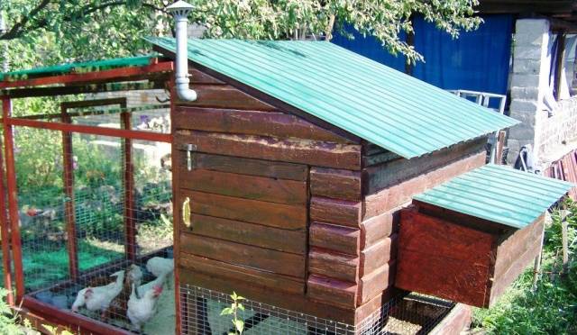 Do-it-yourself chicken coop for 10 chickens: drawings