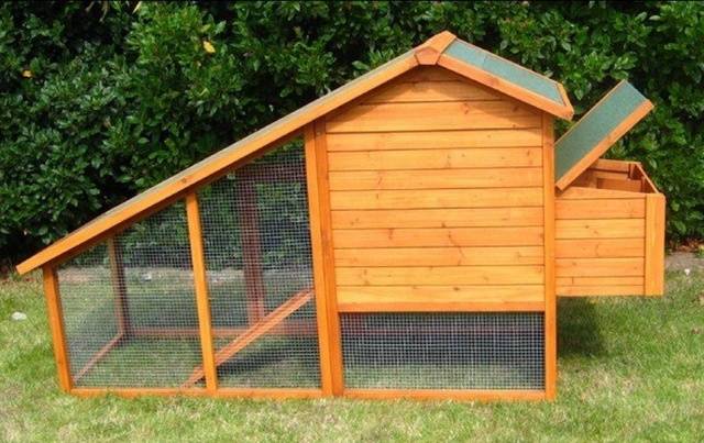 Do-it-yourself chicken coop for 15 chickens