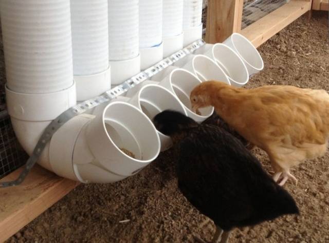 Do-it-yourself chicken coop for 15 chickens