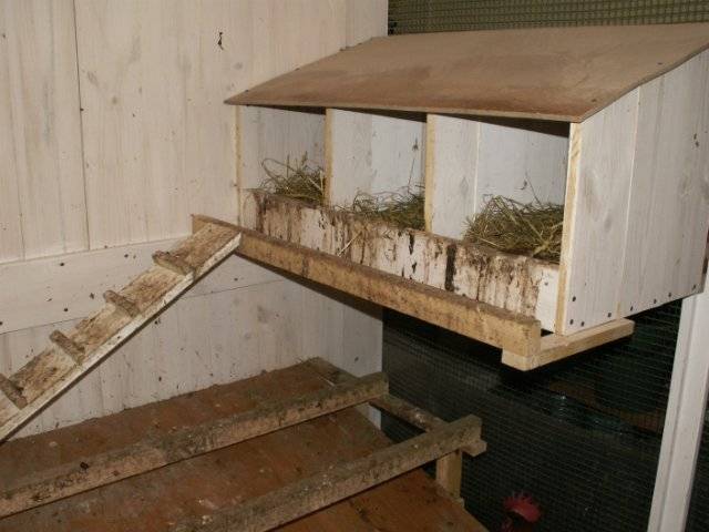 Do-it-yourself chicken coop for 15 chickens