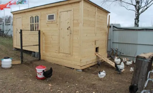 Do-it-yourself chicken coop for 15 chickens