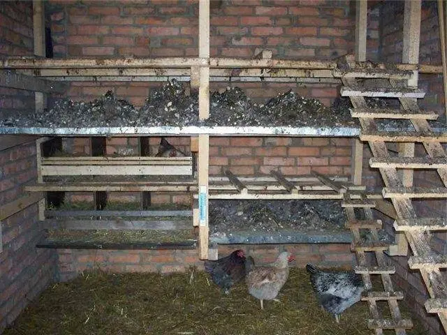 Do-it-yourself chicken coop for 15 chickens