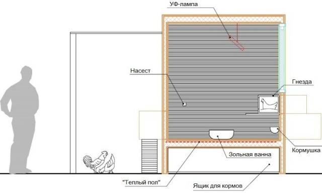 Do-it-yourself chicken coop for 20 chickens + drawings