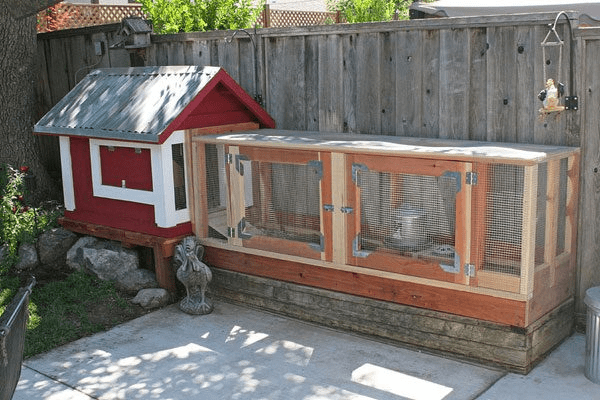 Do-it-yourself chicken coop for the summer 