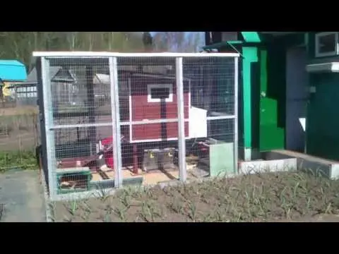 Do-it-yourself chicken coop for the summer 