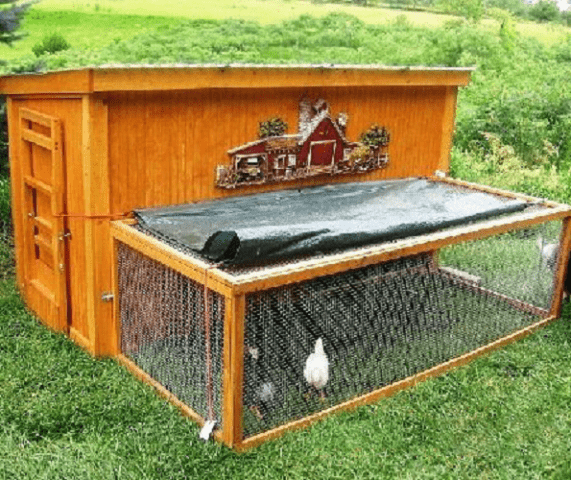 Do-it-yourself chicken coop for the summer 