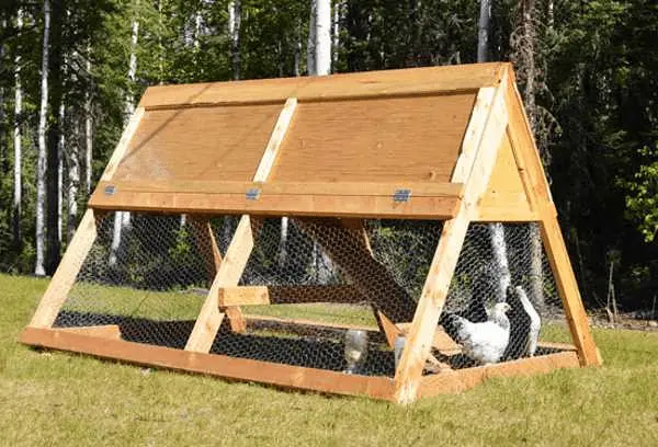 Do-it-yourself chicken coop for the summer 