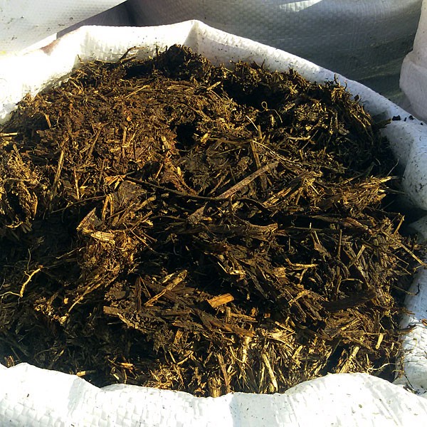 Do-it-yourself compost in bags: what components can and cannot be used