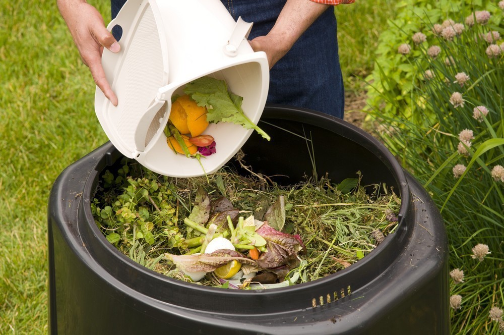 Do-it-yourself compost in bags: what components can and cannot be used