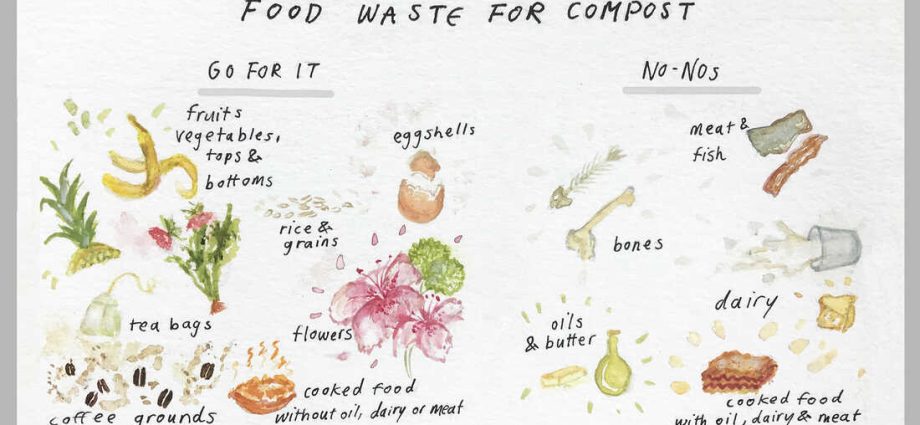 Do-it-yourself compost in bags: what components can and cannot be used